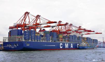 广州南沙报关行 专注海运进出口报关报检与代理服务的专业选择