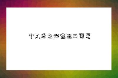 个人如何涉足进出口贸易及运用代理服务指南